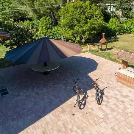 Lagolivo 팜스테이